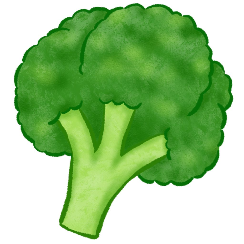 ブロッコリーのイラスト