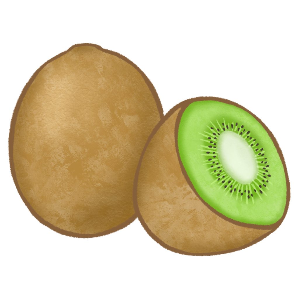 キウイのイラスト