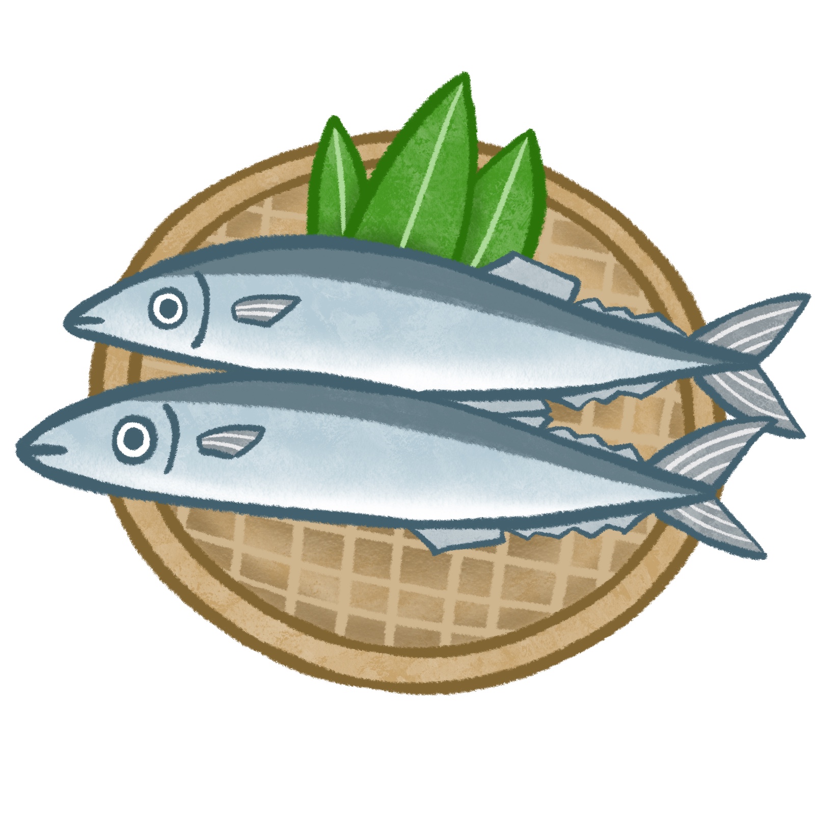 さんまのイラスト