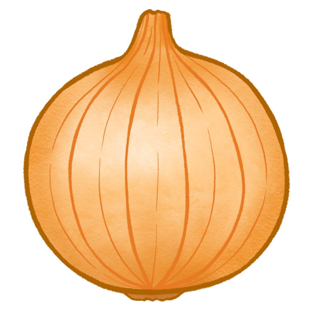玉ねぎのイラスト