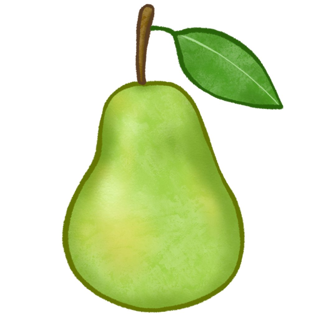 洋梨のイラスト