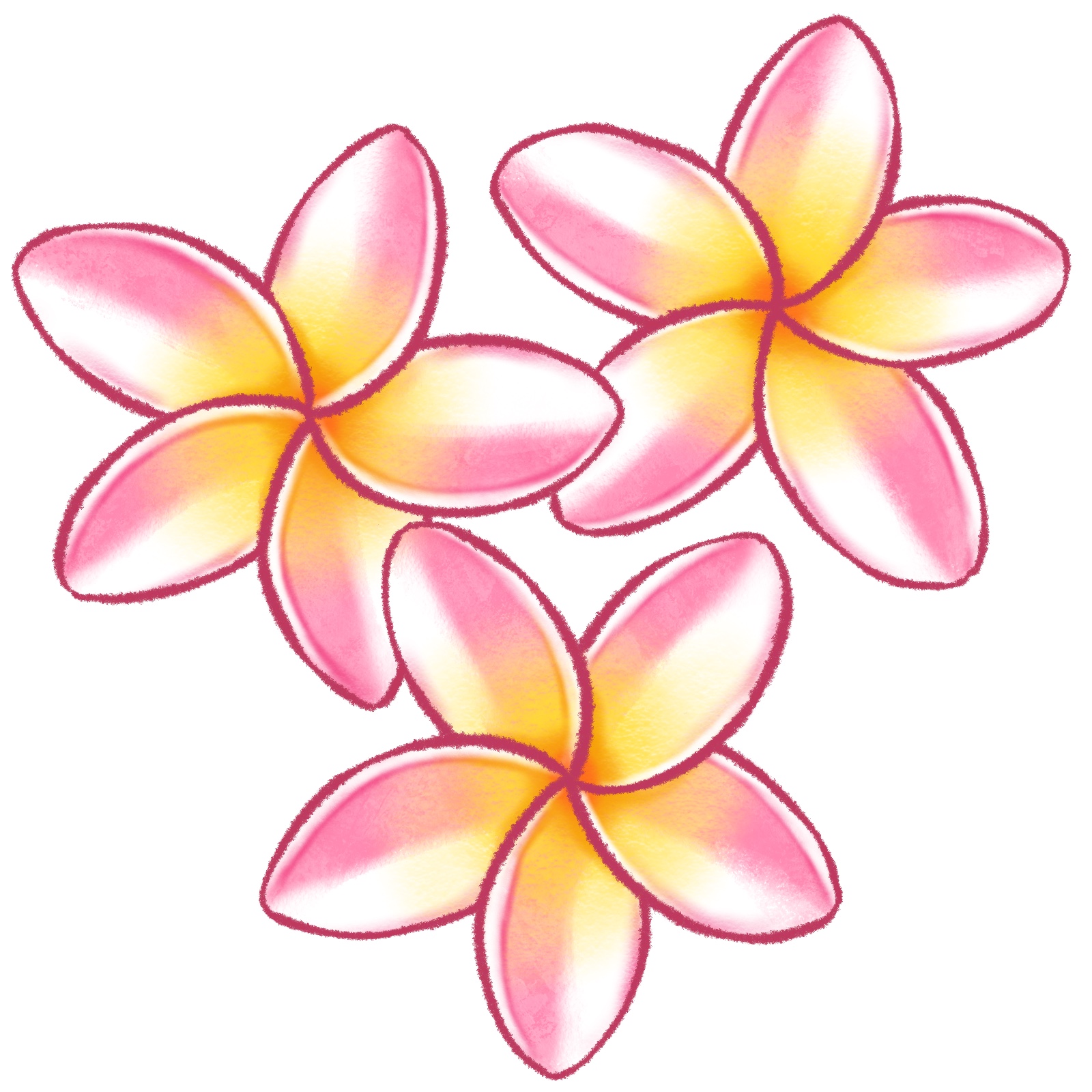 プルメリアのイラスト