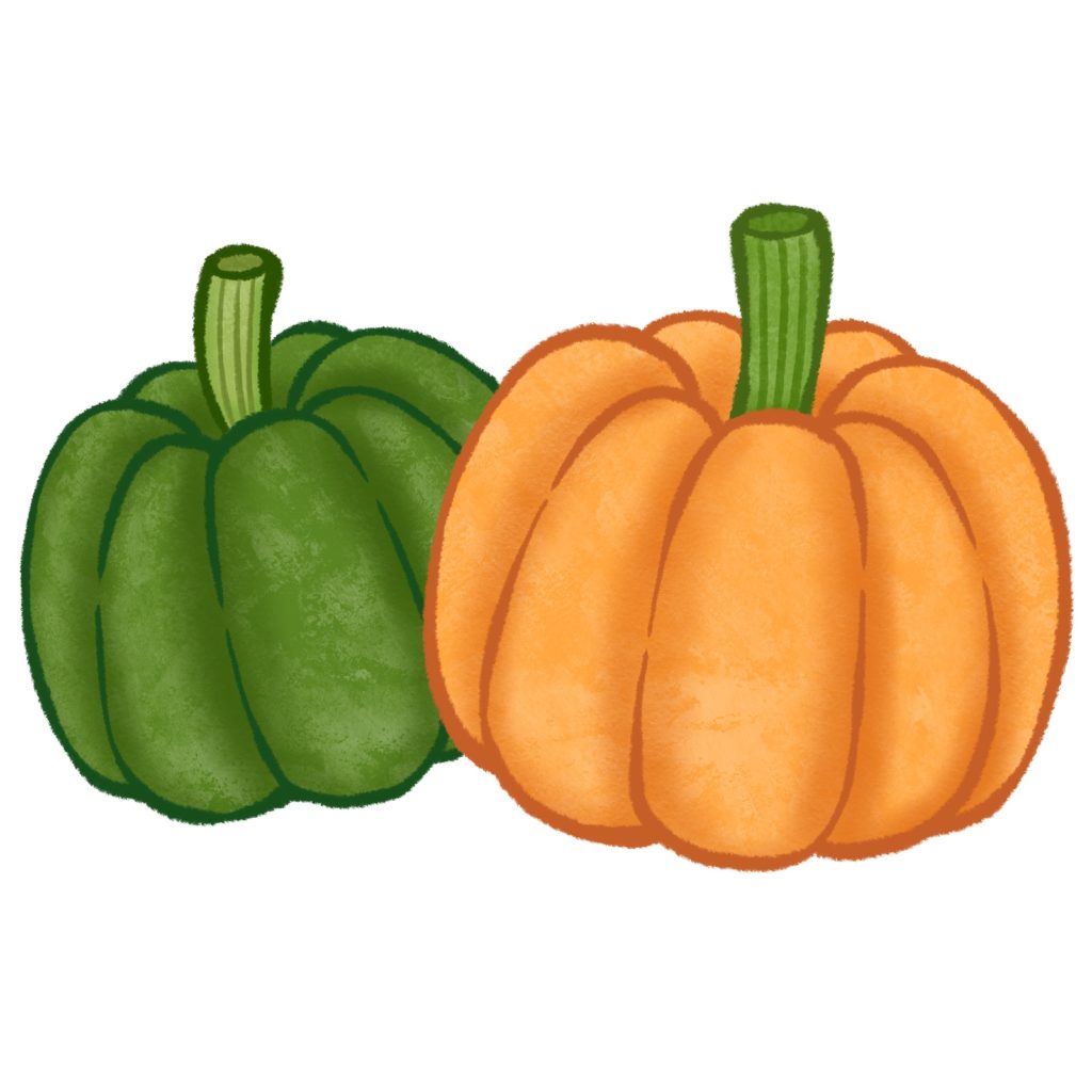 かぼちゃのイラスト