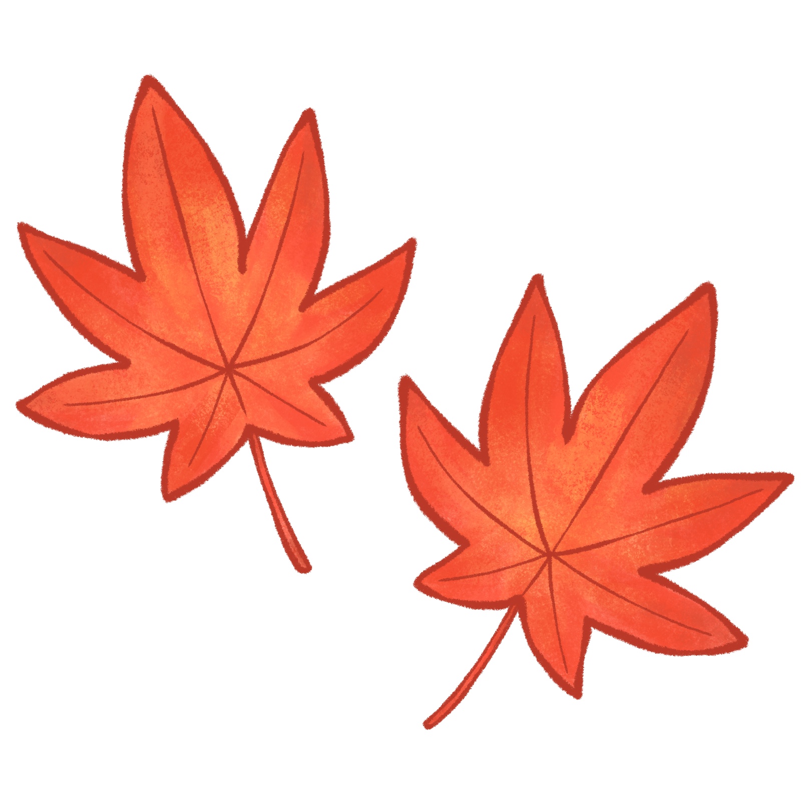 もみじのイラスト