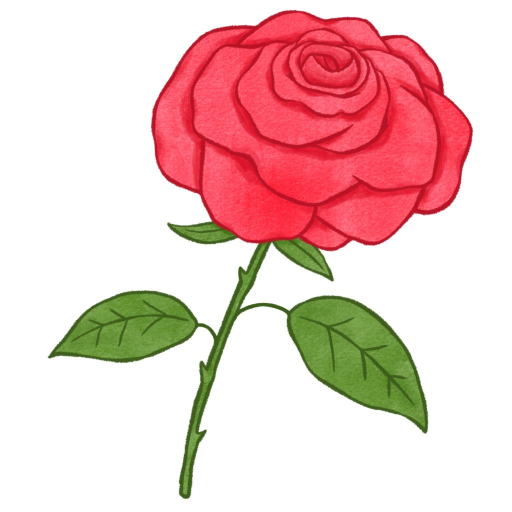 薔薇のイラスト